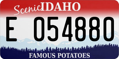 ID license plate E054880