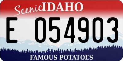 ID license plate E054903