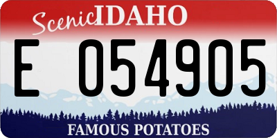 ID license plate E054905