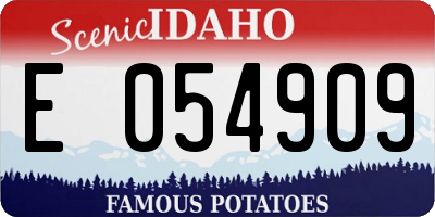 ID license plate E054909