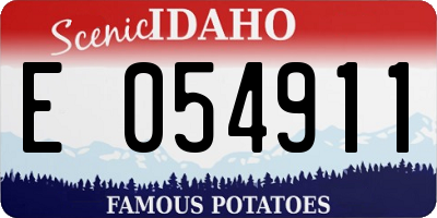 ID license plate E054911