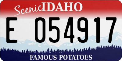 ID license plate E054917