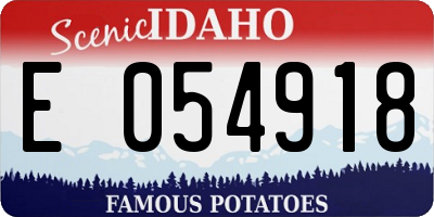 ID license plate E054918