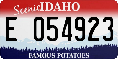 ID license plate E054923