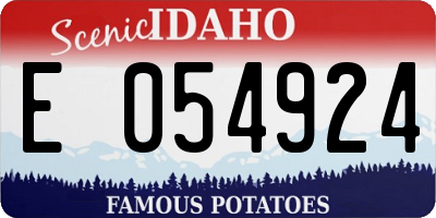 ID license plate E054924