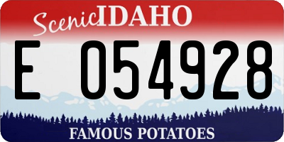 ID license plate E054928