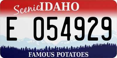 ID license plate E054929