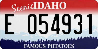 ID license plate E054931
