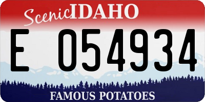 ID license plate E054934