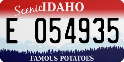 ID license plate E054935