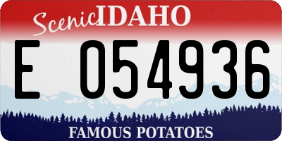 ID license plate E054936