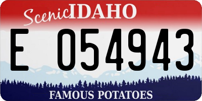 ID license plate E054943