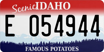 ID license plate E054944