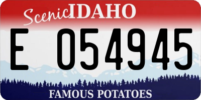 ID license plate E054945