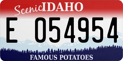 ID license plate E054954