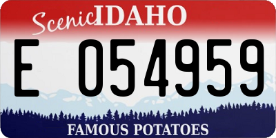 ID license plate E054959