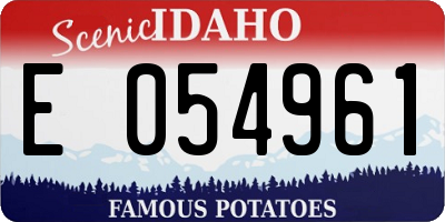ID license plate E054961