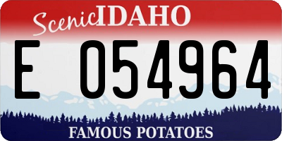 ID license plate E054964