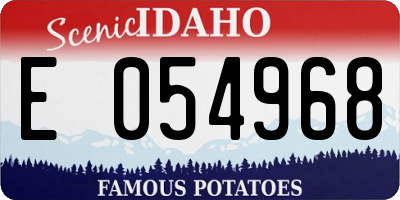 ID license plate E054968