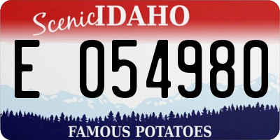 ID license plate E054980