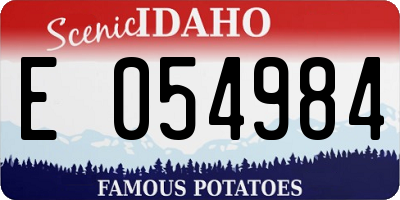 ID license plate E054984