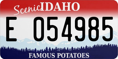 ID license plate E054985