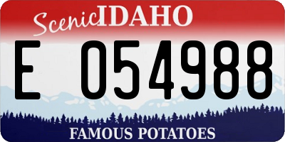 ID license plate E054988