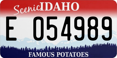 ID license plate E054989