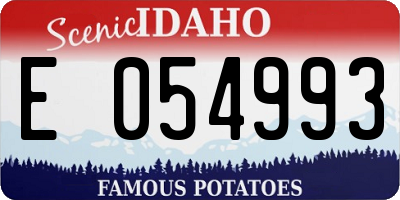 ID license plate E054993