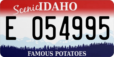 ID license plate E054995
