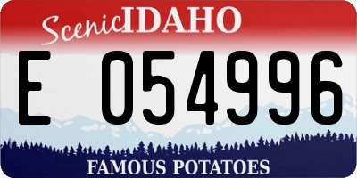 ID license plate E054996
