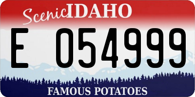 ID license plate E054999