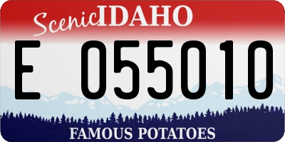 ID license plate E055010