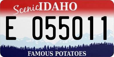 ID license plate E055011