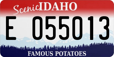 ID license plate E055013