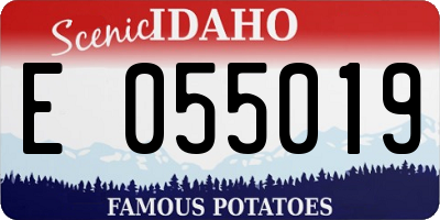 ID license plate E055019