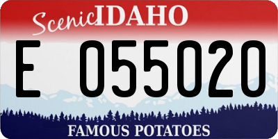 ID license plate E055020