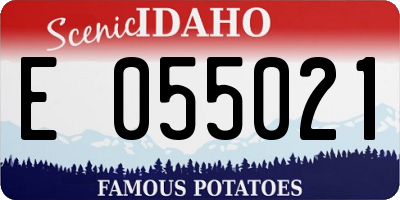 ID license plate E055021