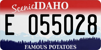 ID license plate E055028