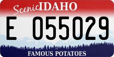 ID license plate E055029