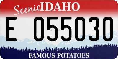 ID license plate E055030