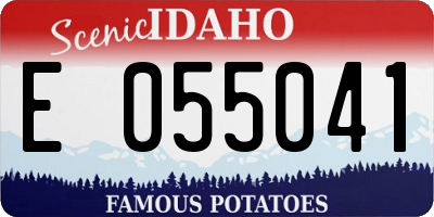 ID license plate E055041