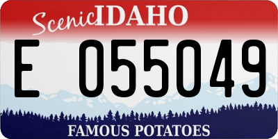 ID license plate E055049