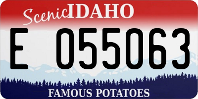 ID license plate E055063