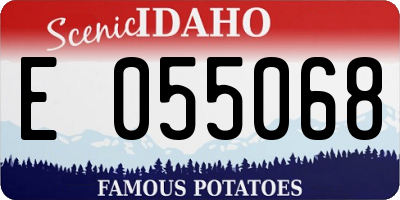 ID license plate E055068