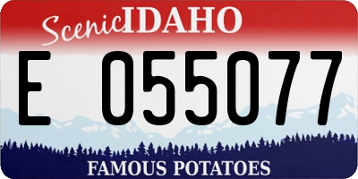ID license plate E055077