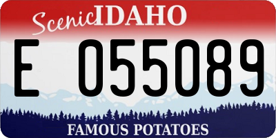 ID license plate E055089