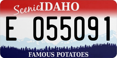 ID license plate E055091