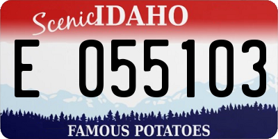 ID license plate E055103