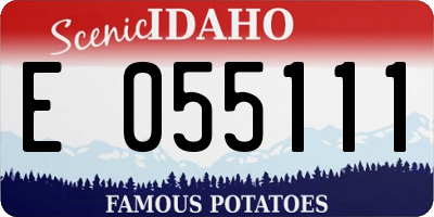 ID license plate E055111